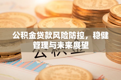 高唐公积金贷款风险防控，稳健管理与未来展望