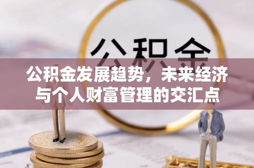 高唐公积金发展趋势，未来经济与个人财富管理的交汇点