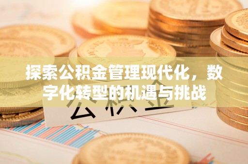 高唐探索公积金管理现代化，数字化转型的机遇与挑战