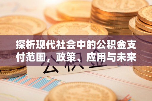 高唐探析现代社会中的公积金支付范围，政策、应用与未来趋势