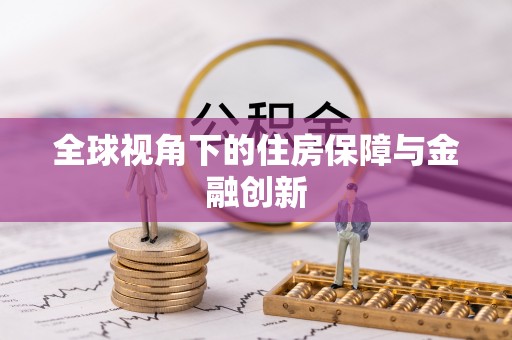 高唐全球视角下的住房保障与金融创新