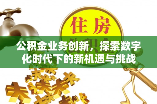 高唐公积金业务创新，探索数字化时代下的新机遇与挑战