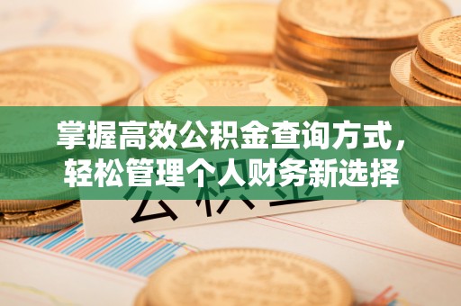 高唐掌握高效公积金查询方式，轻松管理个人财务新选择
