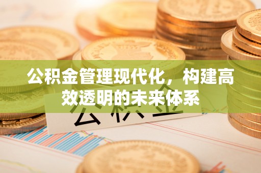 高唐公积金管理现代化，构建高效透明的未来体系
