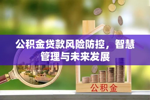 高唐公积金贷款风险防控，智慧管理与未来发展