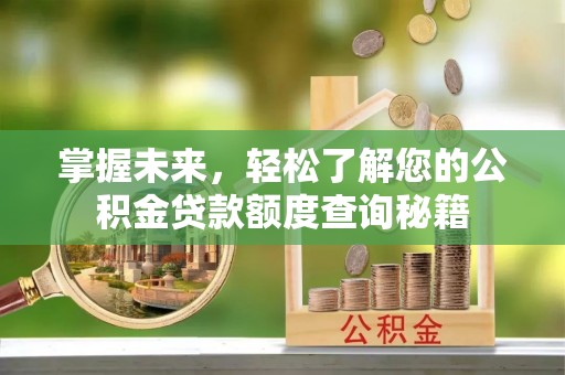 高唐掌握未来，轻松了解您的公积金贷款额度查询秘籍