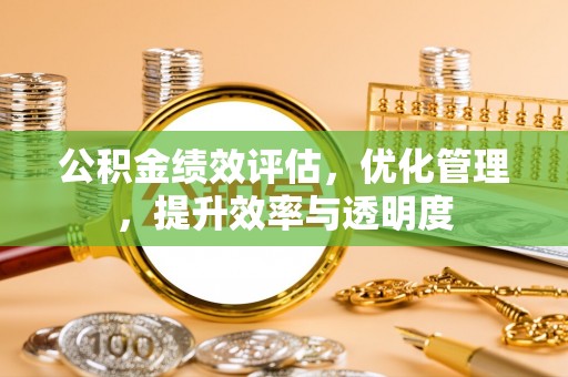 高唐公积金绩效评估，优化管理，提升效率与透明度