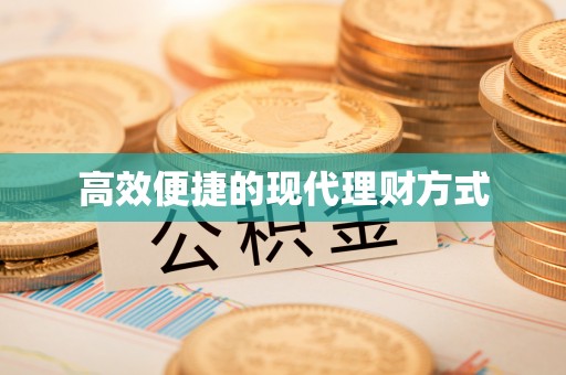 高唐高效便捷的现代理财方式