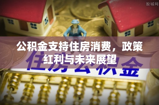 高唐公积金支持住房消费，政策红利与未来展望