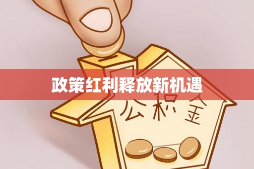 高唐政策红利释放新机遇