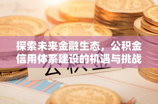 高唐探索未来金融生态，公积金信用体系建设的机遇与挑战