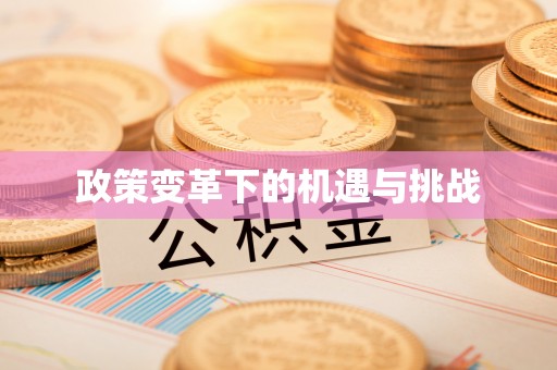 高唐政策变革下的机遇与挑战