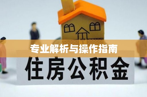 高唐专业解析与操作指南