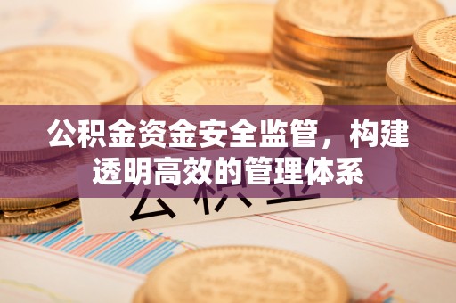 高唐公积金资金安全监管，构建透明高效的管理体系