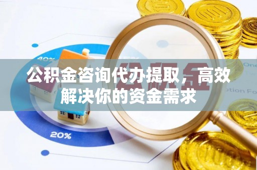 高唐公积金咨询代办提取，高效解决你的资金需求
