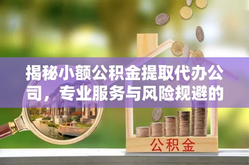 高唐揭秘小额公积金提取代办公司，专业服务与风险规避的平衡艺术