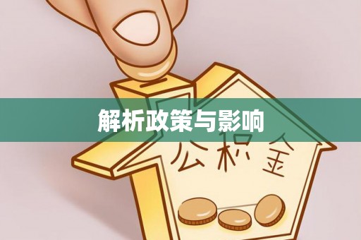 高唐解析政策与影响