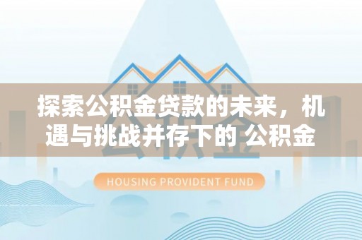 高唐探索公积金贷款的未来，机遇与挑战并存下的 公积金贷款风险防控