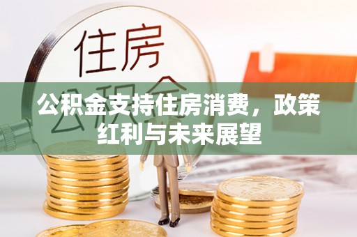 高唐公积金支持住房消费，政策红利与未来展望