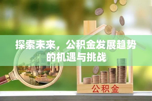 高唐探索未来，公积金发展趋势的机遇与挑战