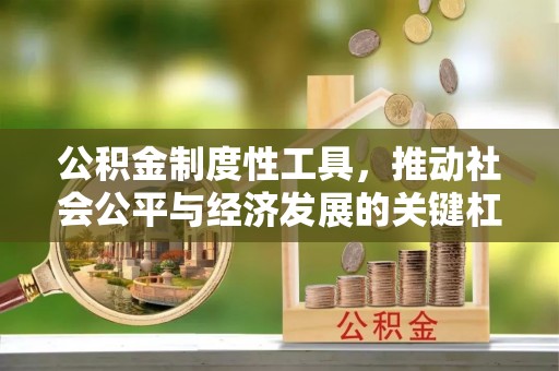 高唐公积金制度性工具，推动社会公平与经济发展的关键杠杆