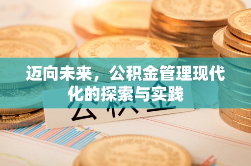 高唐迈向未来，公积金管理现代化的探索与实践