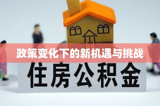 高唐政策变化下的新机遇与挑战