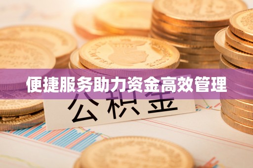高唐便捷服务助力资金高效管理