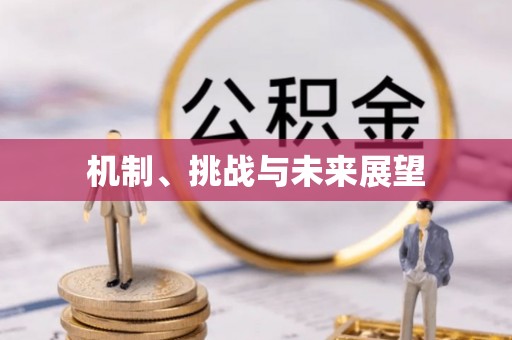 高唐机制、挑战与未来展望